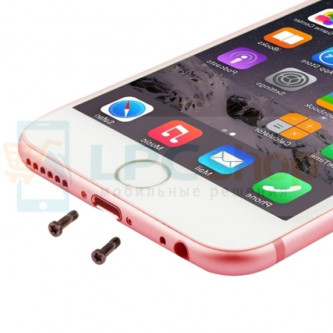 Винт iPhone 6S внешний (10 шт.) Розовое Золото