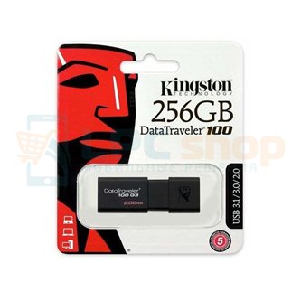 Память USB Flash (Флешка USB 3.0) 256GB Kingston DataTraveler DT100-G3