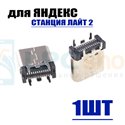 Разъем Type-C для Яндекс Станция Лайт 2 (YNDX-00026VIO) / Станция 2